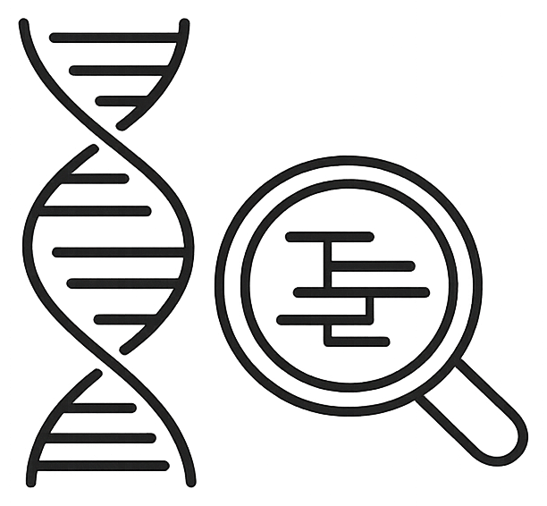 16S rDNA sequencing