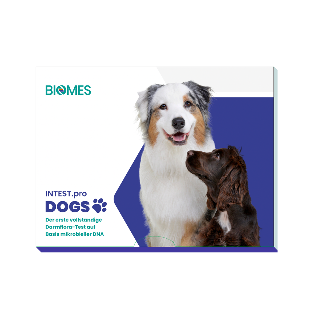 Intest.PRO  Dogs B2B
